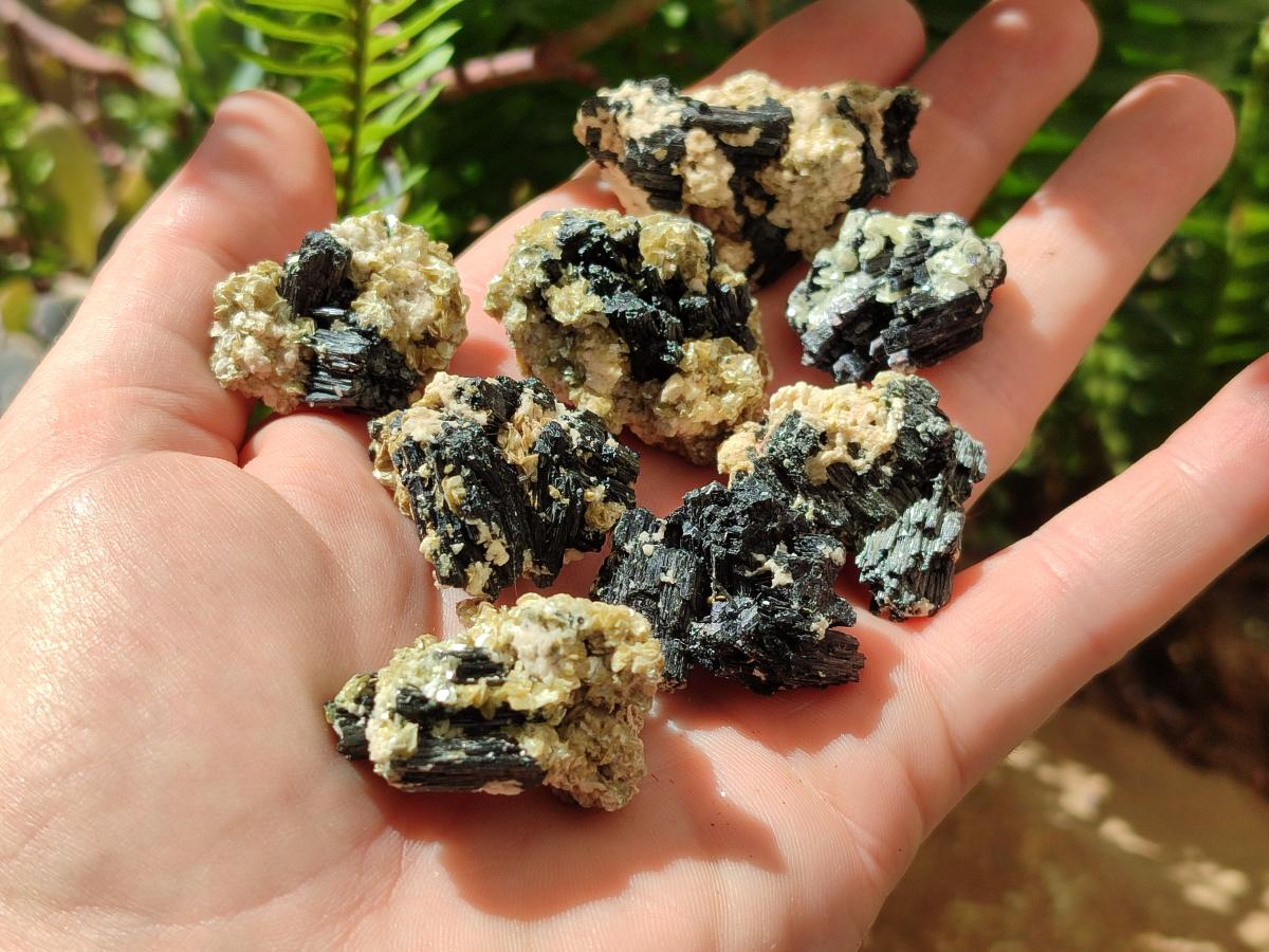 Natural Schorl Black Tourmaline with Mica x 70 From Erongo, Namibia