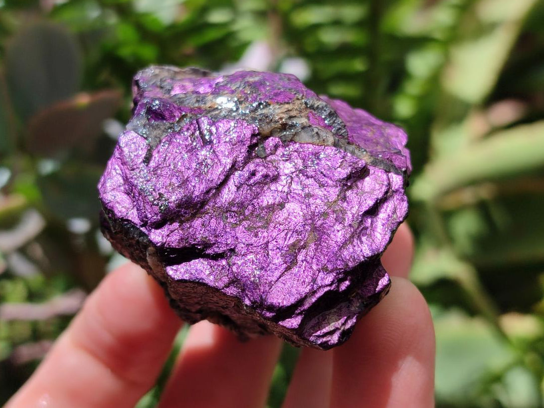 Natural Metallic Cobbed Purpurite Specimens x 12 From Erongo, Namibia