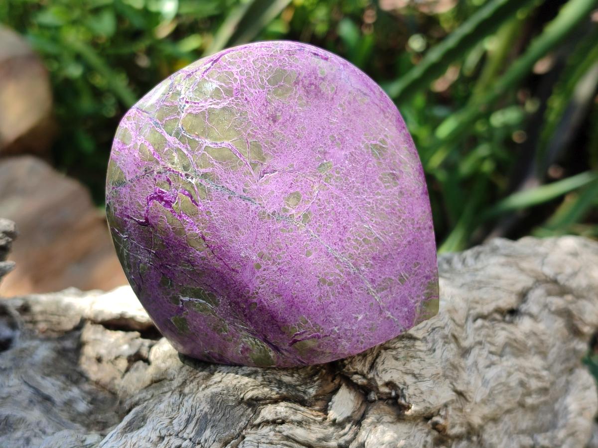 Polished Stichtite Standing Free Forms x 12 From Barberton, South Africa