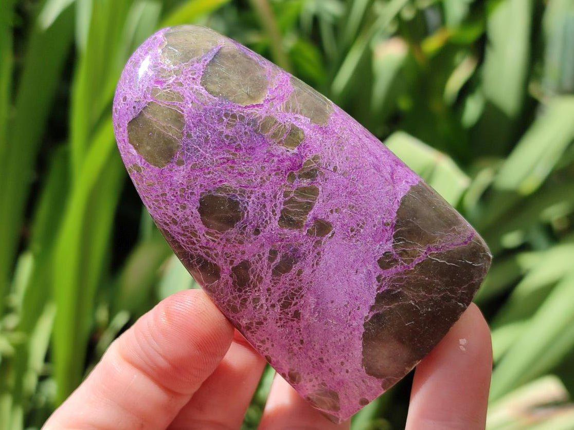 Polished Stichtite Standing Free Forms x 12 From Barberton, South Africa