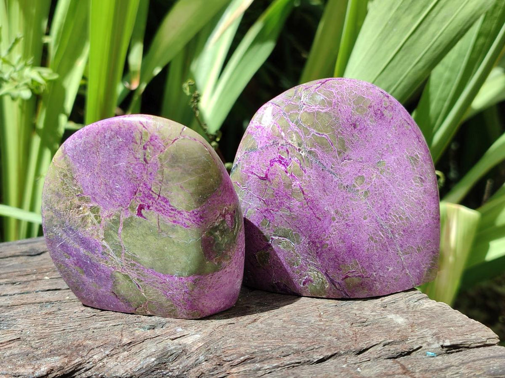 Polished Stichtite Standing Free Forms x 12 From Barberton, South Africa