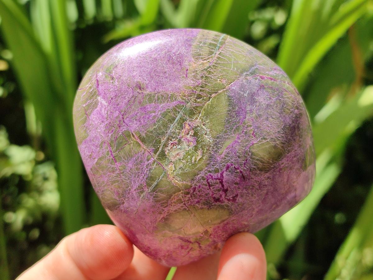 Polished Stichtite Standing Free Forms x 12 From Barberton, South Africa