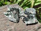 Natural Libethenite Crystals on Dolomite Matrix Specimens x 12 From Shituru, Congo