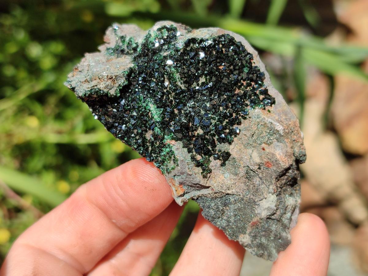 Natural Libethenite Crystals on Dolomite Matrix Specimens x 12 From Shituru, Congo