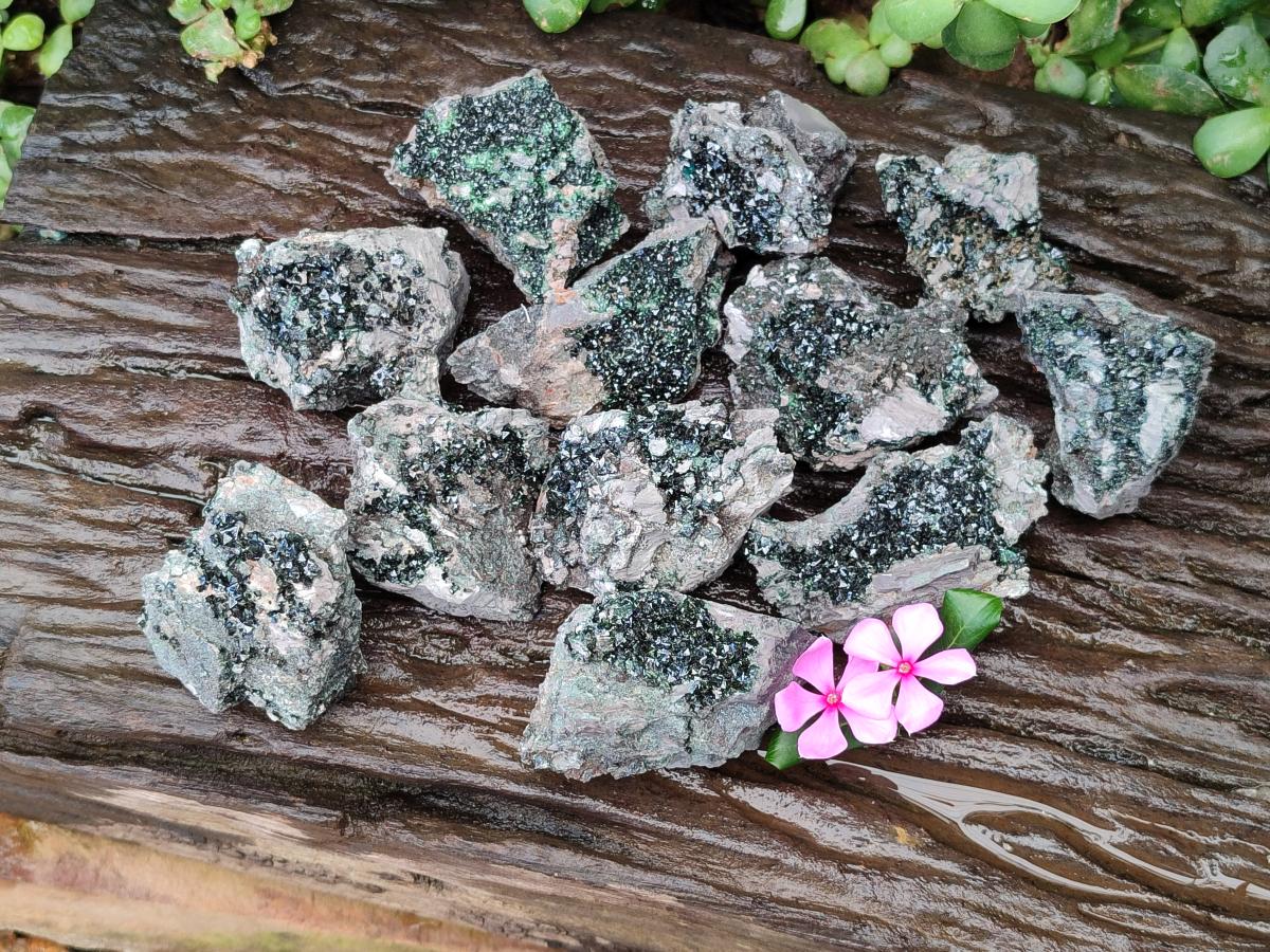 Natural Libethenite Crystals on Dolomite Matrix Specimens x 12 From Shituru, Congo