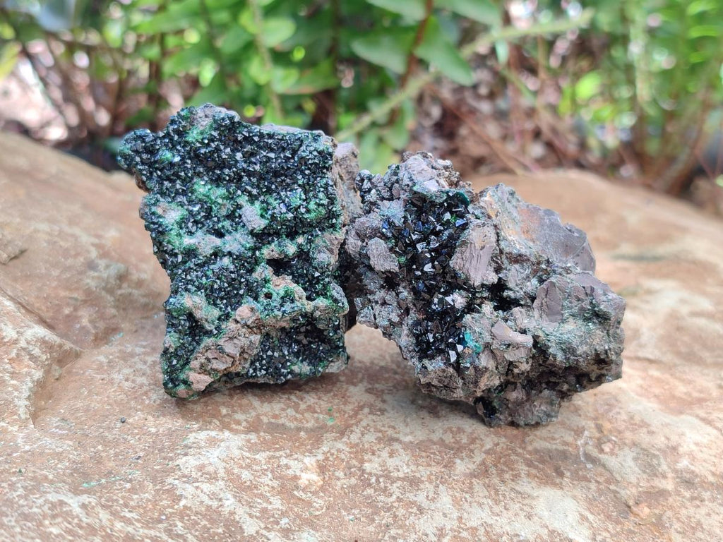 Natural Libethenite Crystals on Dolomite Matrix Specimens x 12 From Shituru, Congo