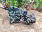 Natural Libethenite Crystals on Dolomite Matrix Specimens x 12 From Shituru, Congo