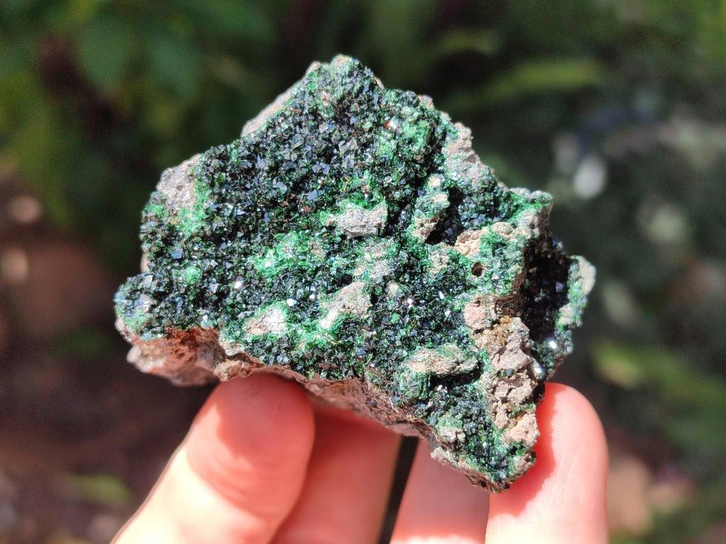 Natural Libethenite Crystals on Dolomite Matrix Specimens x 12 From Shituru, Congo