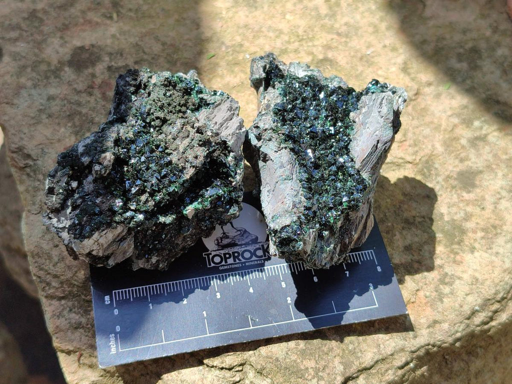 Natural Libethenite Crystals on Dolomite Matrix Specimens x 12 From Shituru, Congo
