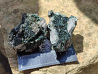 Natural Libethenite Crystals on Dolomite Matrix Specimens x 12 From Shituru, Congo