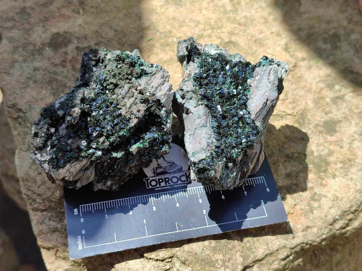 Natural Libethenite Crystals on Dolomite Matrix Specimens x 12 From Shituru, Congo