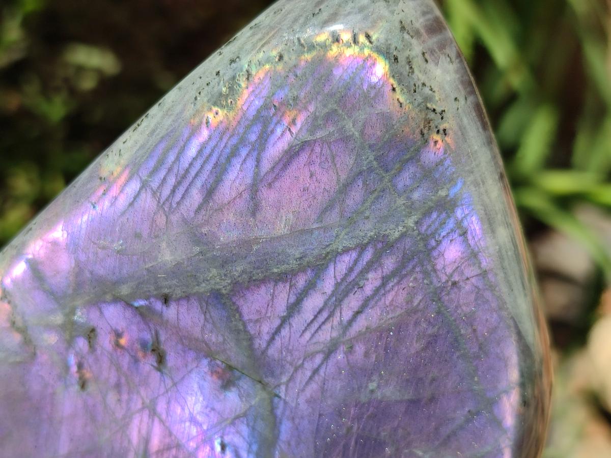 Polished Large Rare Purple Sunset Flash Labradorite Standing Free Form x 1 From Madagascar