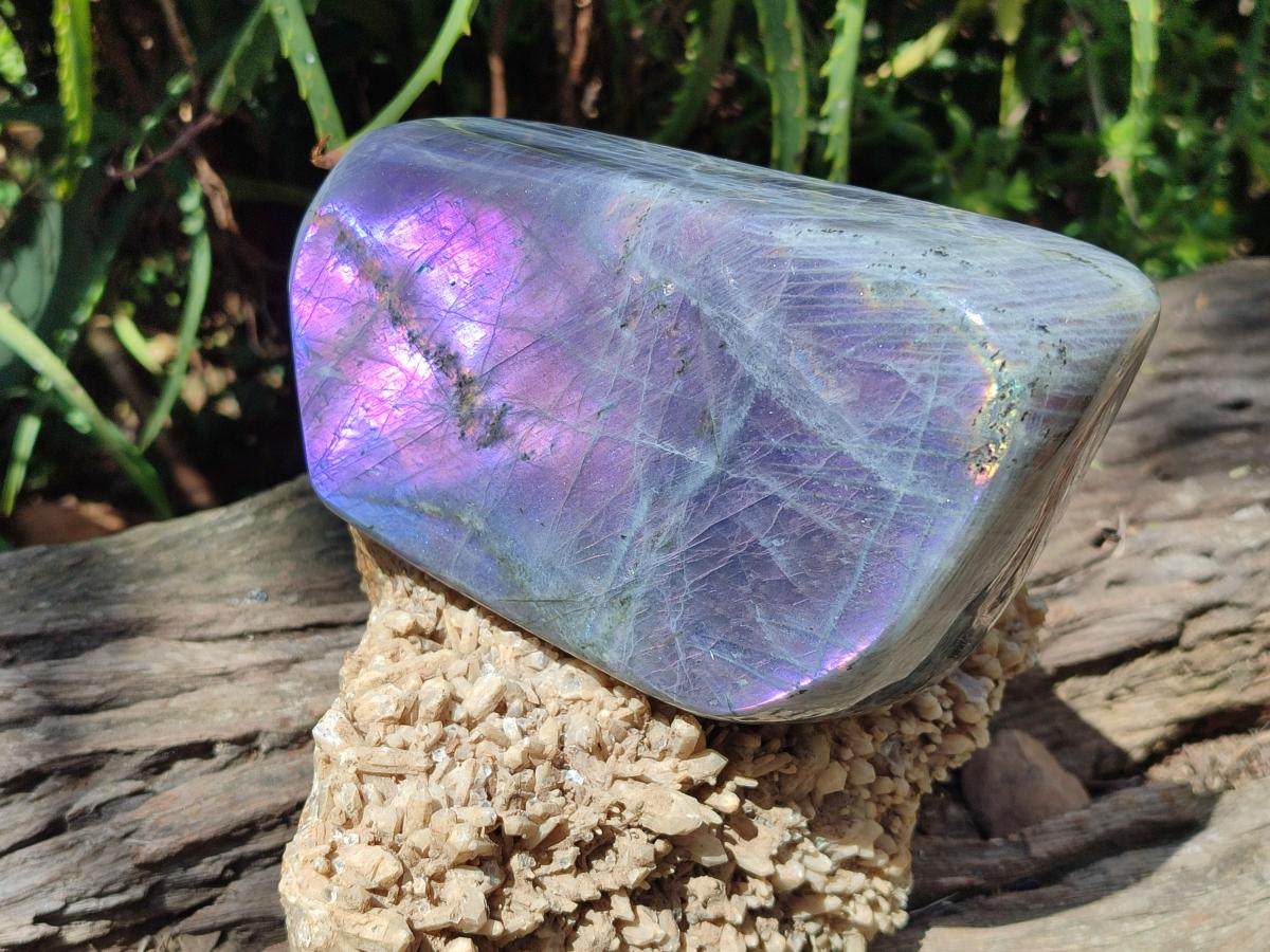 Polished Large Rare Purple Sunset Flash Labradorite Standing Free Form x 1 From Madagascar