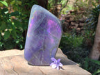 Polished Large Rare Purple Sunset Flash Labradorite Standing Free Form x 1 From Madagascar