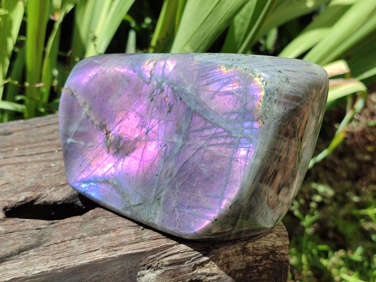 Polished Large Rare Purple Sunset Flash Labradorite Standing Free Form x 1 From Madagascar