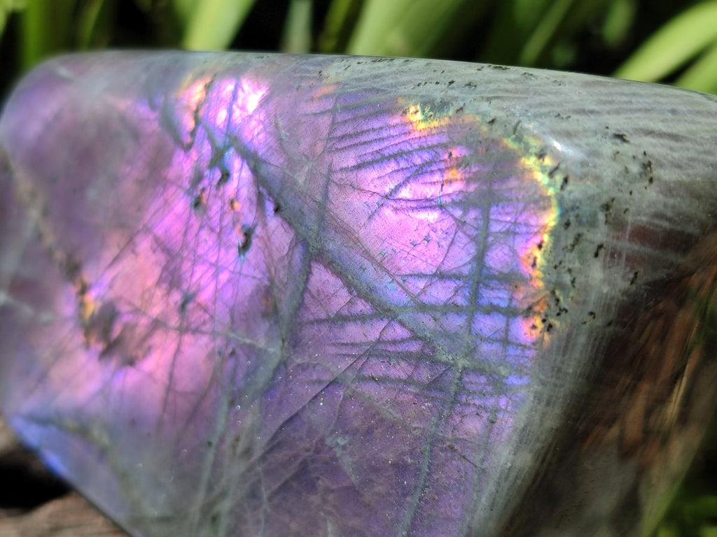 Polished Large Rare Purple Sunset Flash Labradorite Standing Free Form x 1 From Madagascar