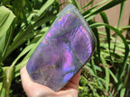 Polished Large Rare Purple Sunset Flash Labradorite Standing Free Form x 1 From Madagascar