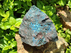 Natural Rough Shattuckite Specimens x 7 From Kaokoveld, Namibia