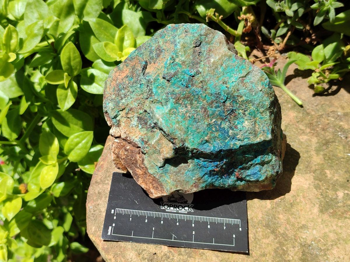 Natural Rough Shattuckite Specimens x 7 From Kaokoveld, Namibia