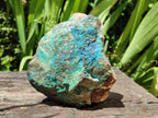 Natural Rough Shattuckite Specimens x 7 From Kaokoveld, Namibia