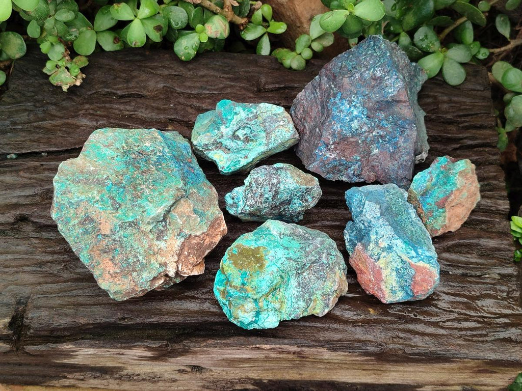Natural Rough Shattuckite Specimens x 7 From Kaokoveld, Namibia