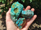 Natural Rough Shattuckite Specimens x 7 From Kaokoveld, Namibia