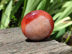 Polished Carnelian Agate Gemstone Galets x 12 From Madagascar