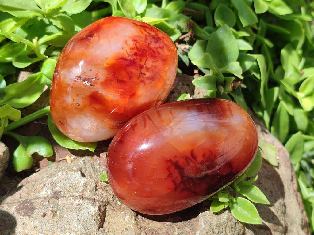 Polished Carnelian Agate Gemstone Galets x 12 From Madagascar