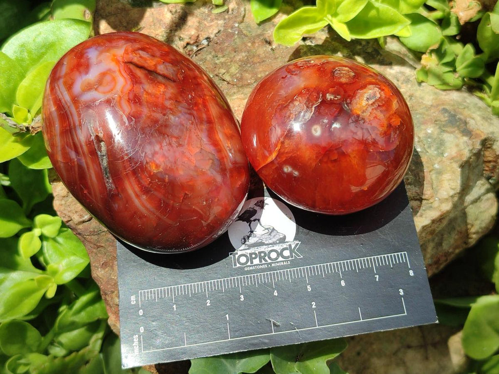 Polished Carnelian Agate Gemstone Galets x 12 From Madagascar