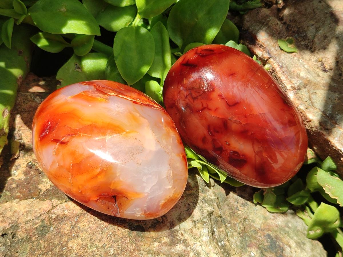 Polished Carnelian Agate Gemstone Galets x 12 From Madagascar