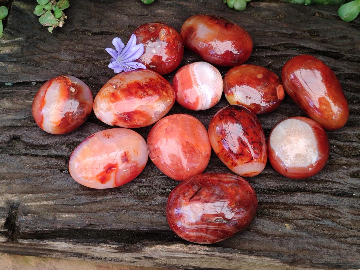 Polished Carnelian Agate Gemstone Galets x 12 From Madagascar