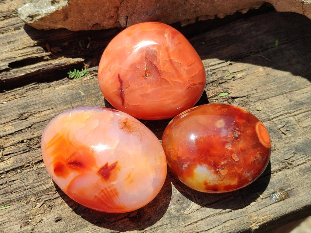 Polished Carnelian Agate Gemstone Galets x 12 From Madagascar