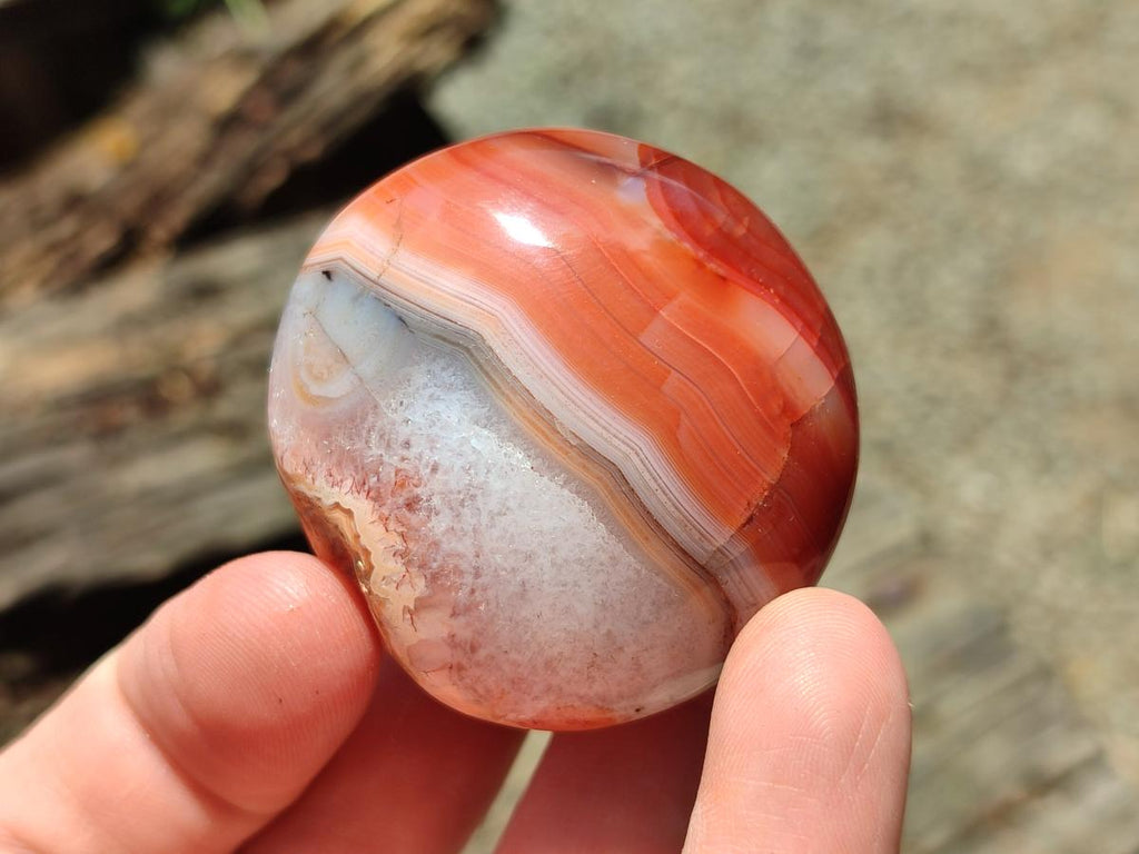 Polished Carnelian Agate Gemstone Galets x 12 From Madagascar