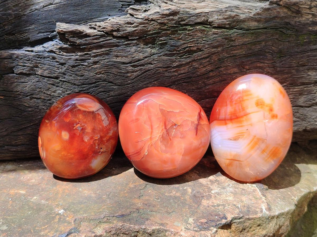 Polished Carnelian Agate Gemstone Galets x 12 From Madagascar