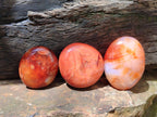 Polished Carnelian Agate Gemstone Galets x 12 From Madagascar
