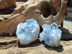 Natural Small Blue Celestite Cluster Specimens x 22 From Sakoany, Madagascar