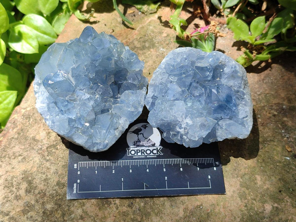 Natural Small Blue Celestite Cluster Specimens x 22 From Sakoany, Madagascar
