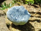 Natural Small Blue Celestite Cluster Specimens x 22 From Sakoany, Madagascar