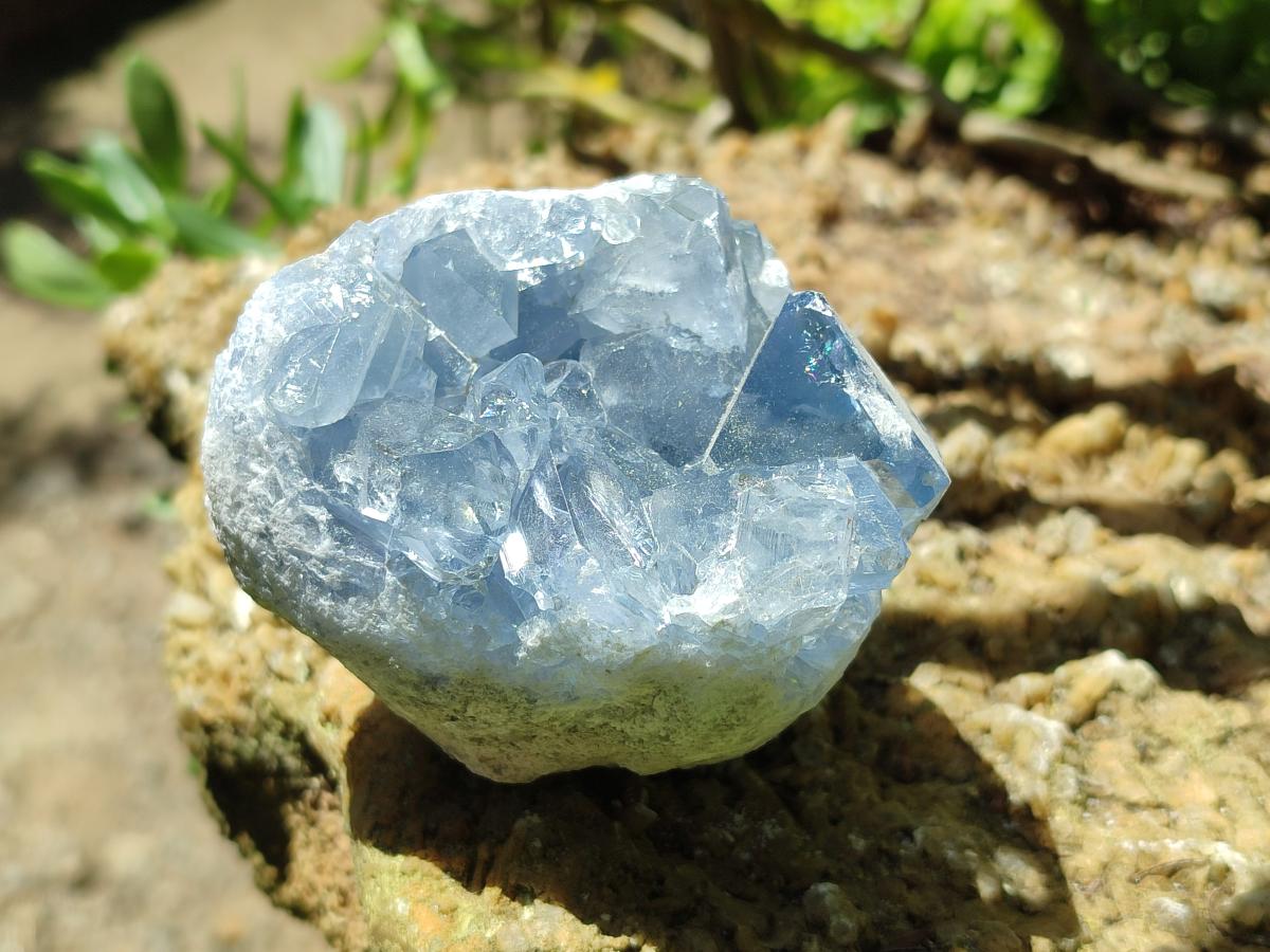 Natural Small Blue Celestite Cluster Specimens x 22 From Sakoany, Madagascar