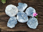 Natural Small Blue Celestite Cluster Specimens x 22 From Sakoany, Madagascar