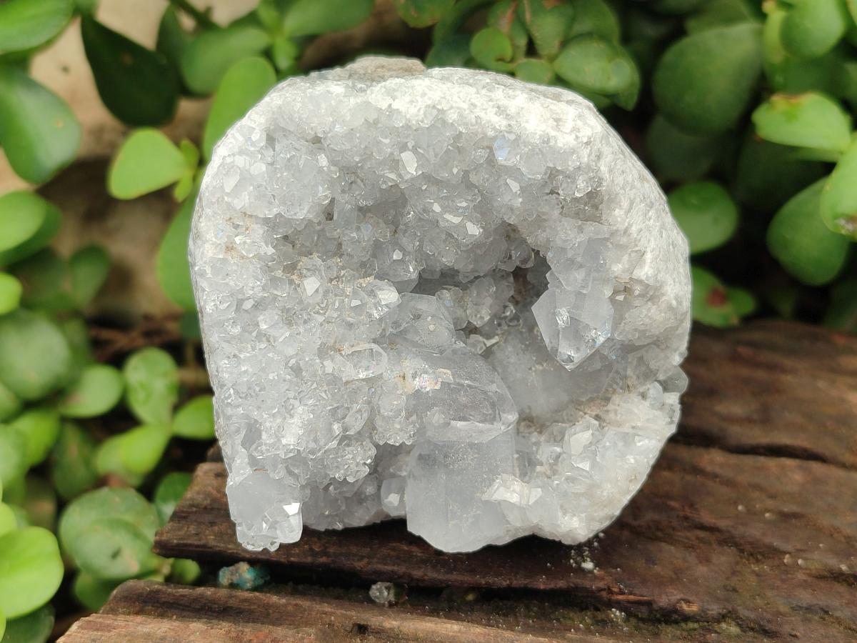Natural Small Blue Celestite Cluster Specimens x 22 From Sakoany, Madagascar