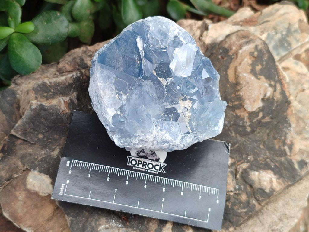 Natural Small Blue Celestite Cluster Specimens x 22 From Sakoany, Madagascar