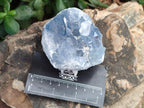 Natural Small Blue Celestite Cluster Specimens x 22 From Sakoany, Madagascar