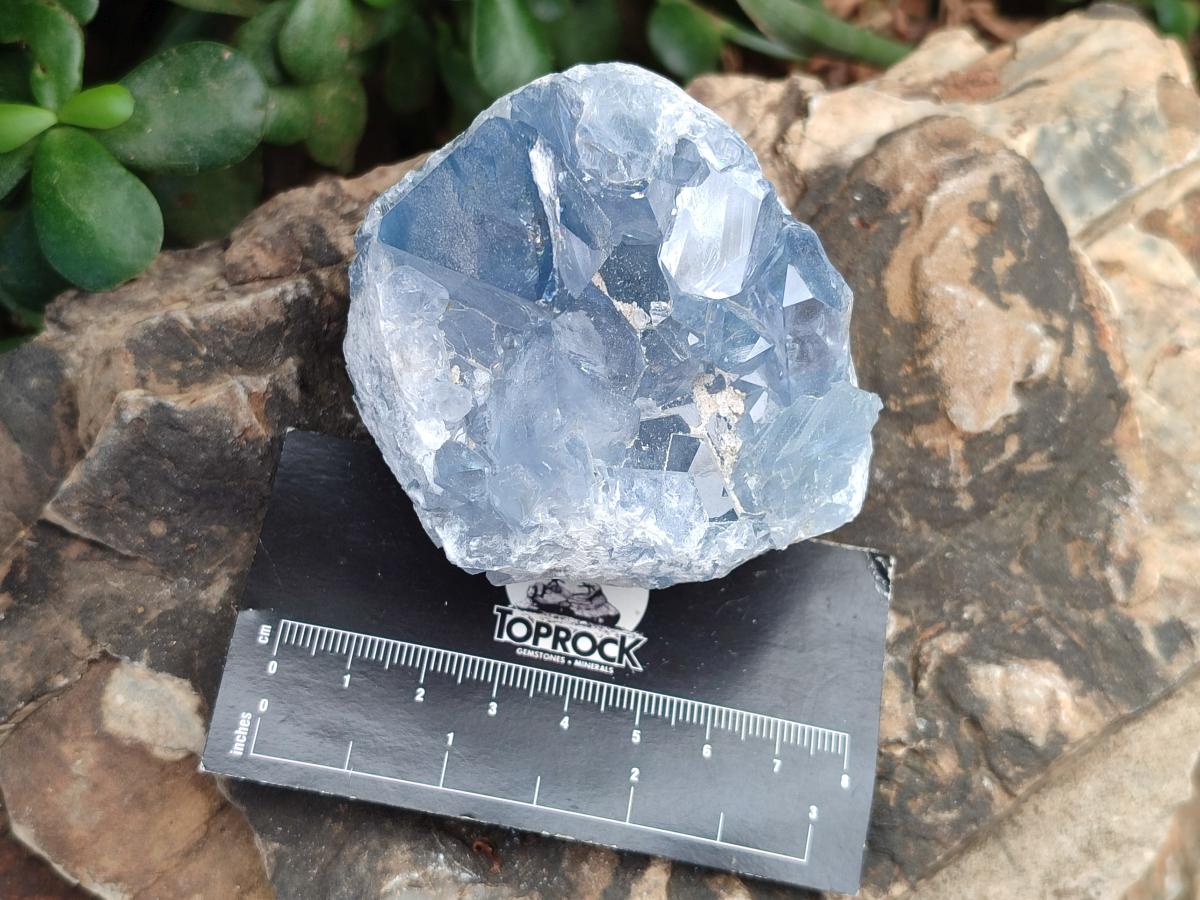 Natural Small Blue Celestite Cluster Specimens x 22 From Sakoany, Madagascar