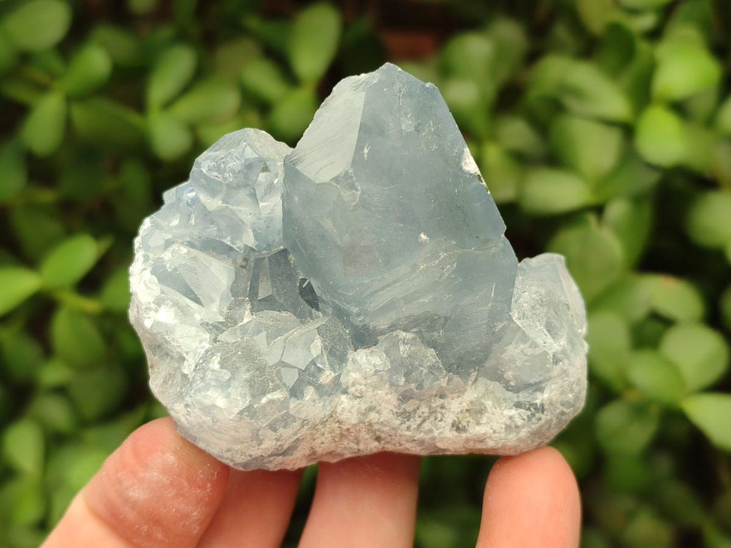 Natural Small Blue Celestite Cluster Specimens x 22 From Sakoany, Madagascar