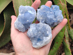 Natural Small Blue Celestite Cluster Specimens x 22 From Sakoany, Madagascar