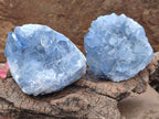 Natural Small Blue Celestite Cluster Specimens x 22 From Sakoany, Madagascar