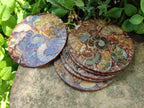 Hand Made Ammonite Conglomerate Coffee Table Coasters x 6 From Mahajanga, Madagascar