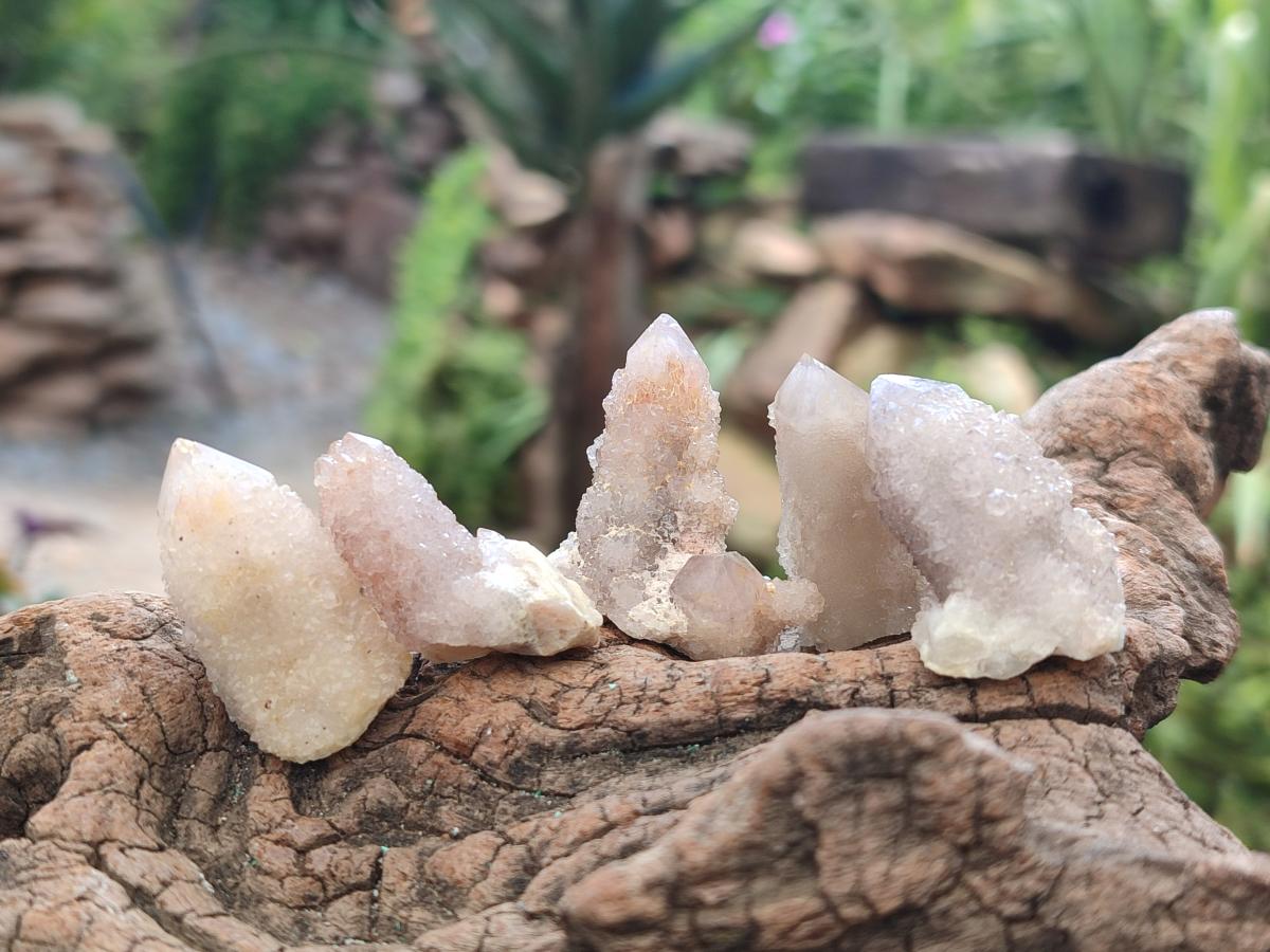 Natural Lilac Spirit Quartz Crystals x 70 From Boekenhouthoek, South Africa