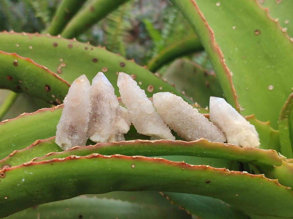 Natural Lilac Spirit Quartz Crystals x 70 From Boekenhouthoek, South Africa